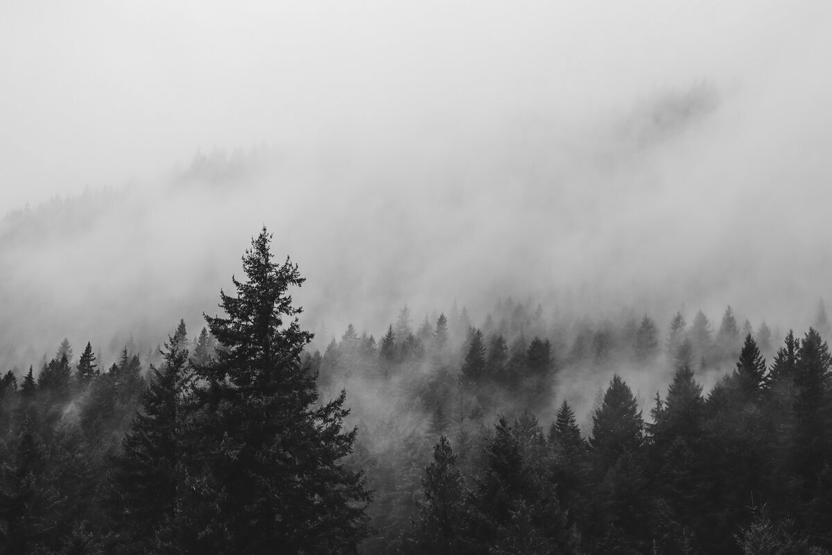 Fog Over the Ridge