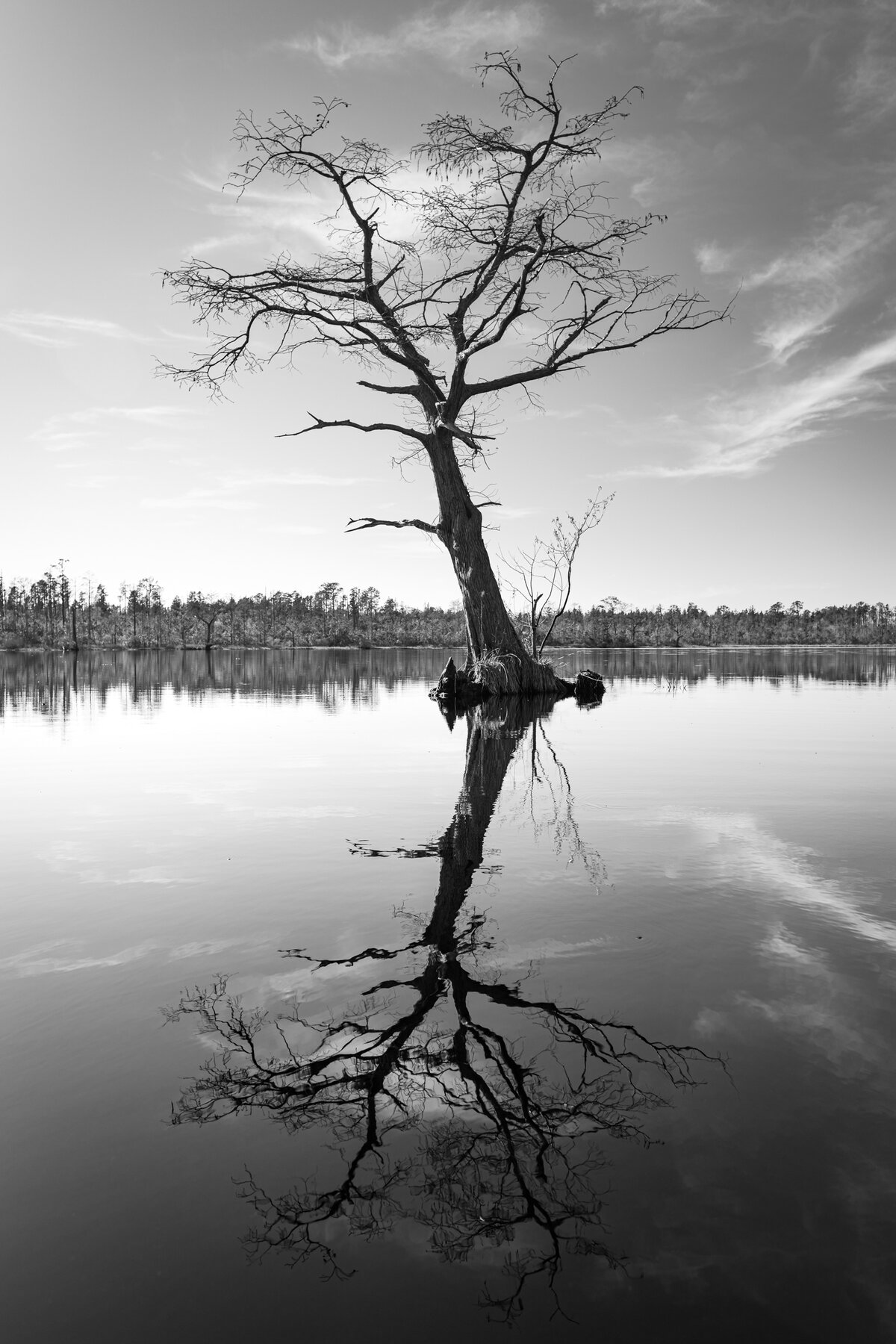 Mirror Lake