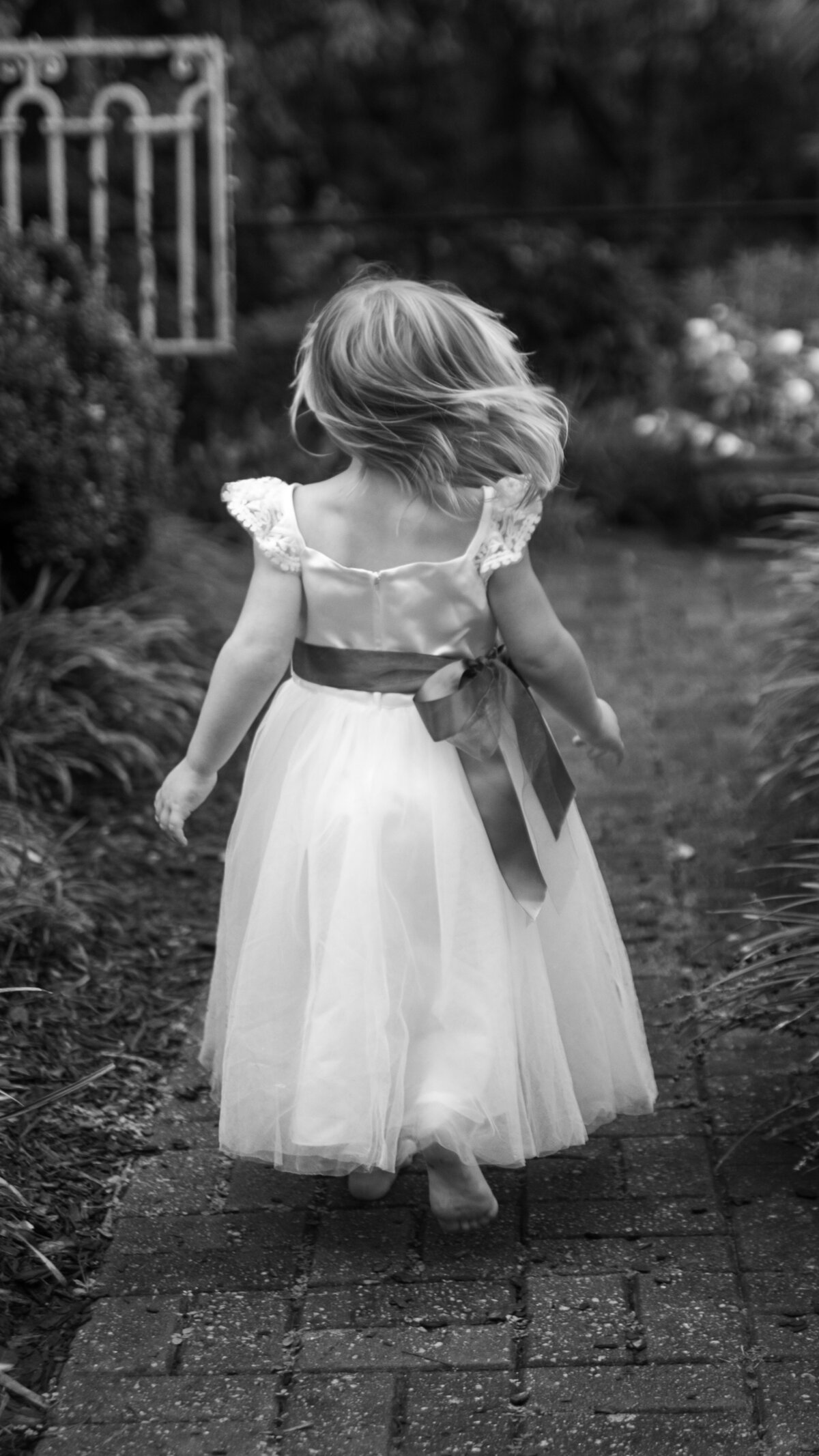 Wild and Whimsical