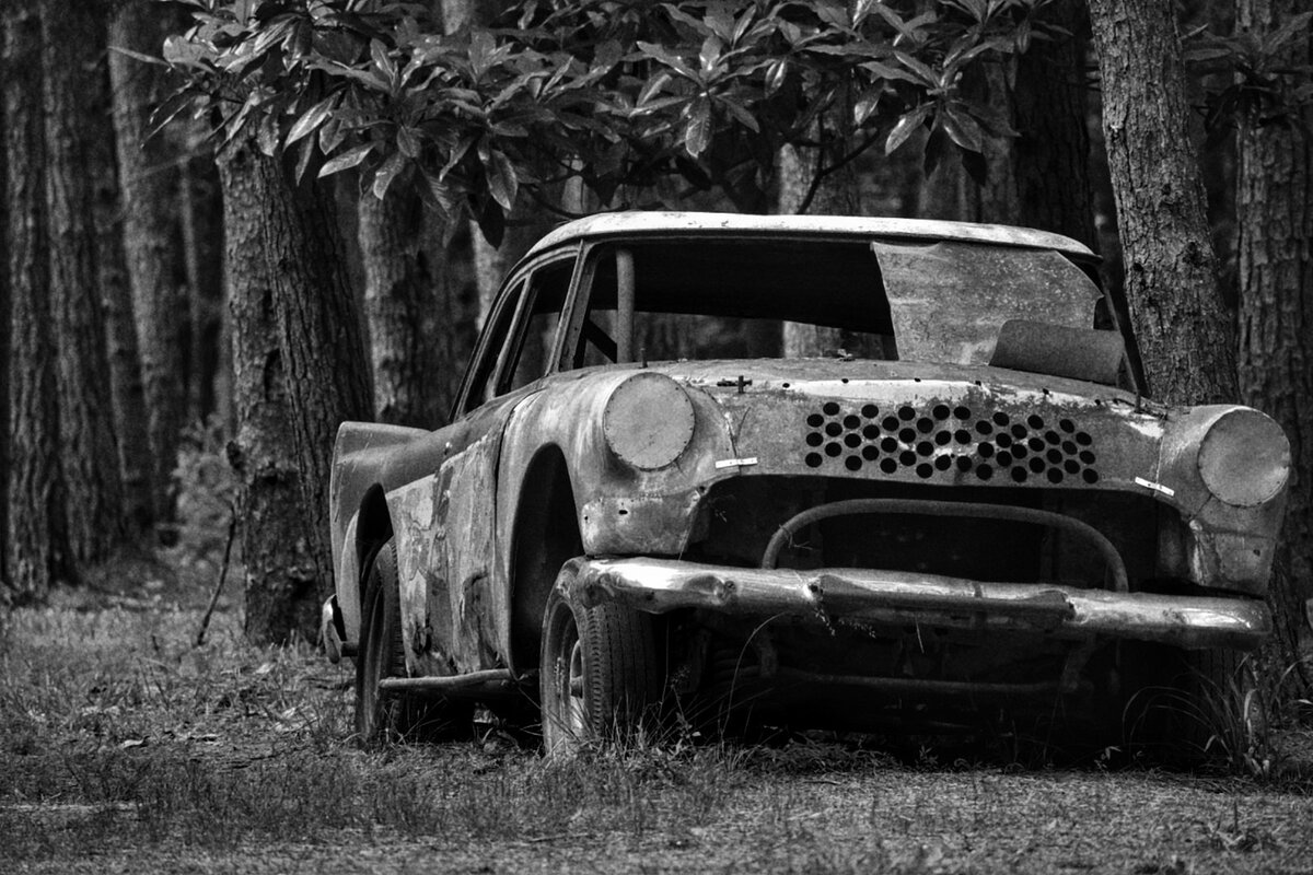 Left to Rust