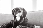 Old Soul