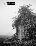 overgrown barn architecture photography
