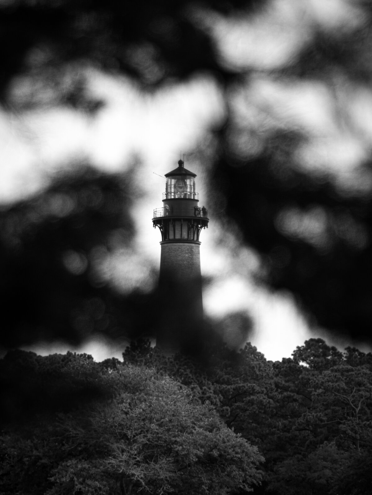 The Lighthouse Through the Bushes