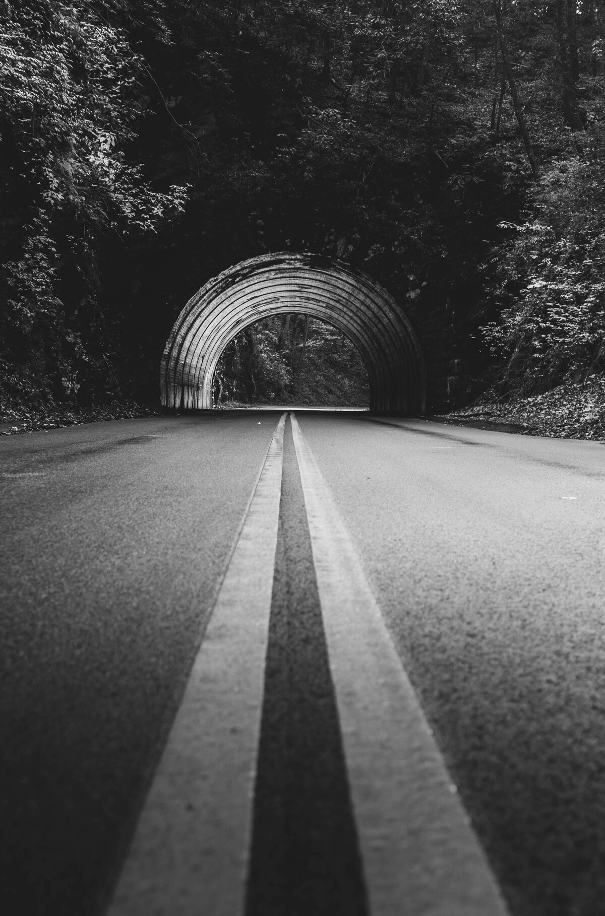 Through the Tunnel