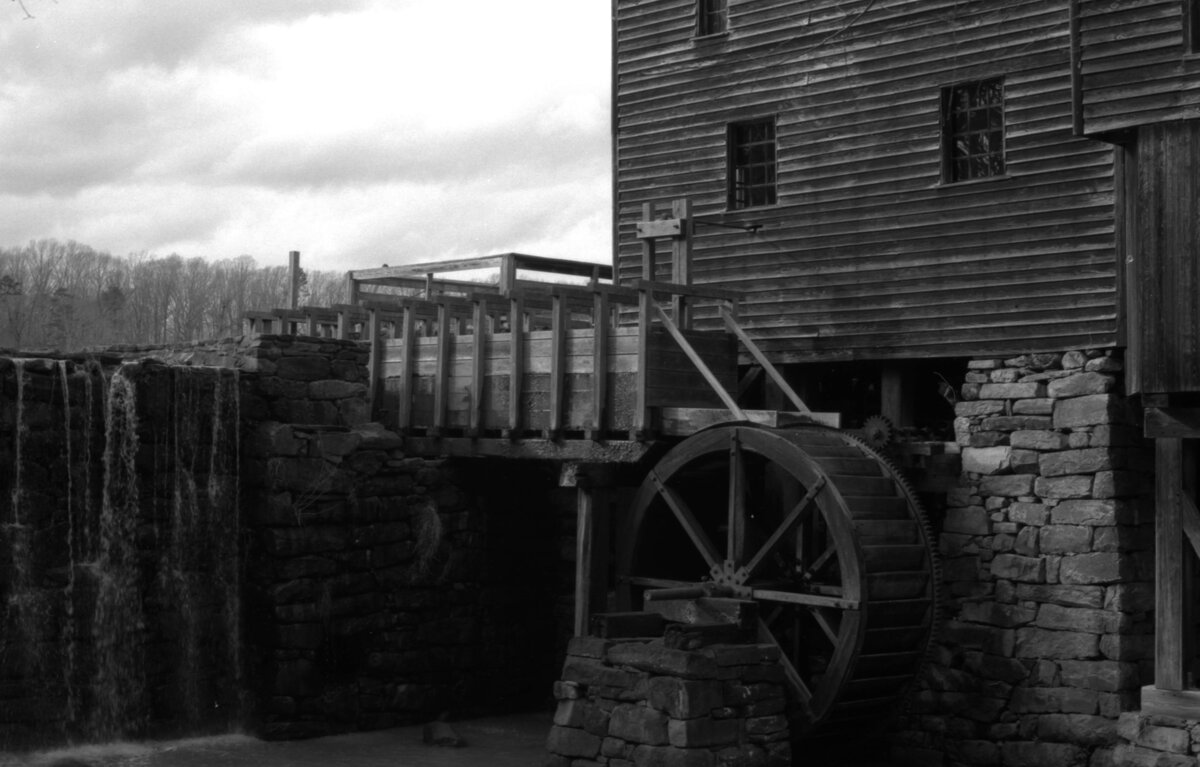 An Afternoon Walk at Yates Mill
