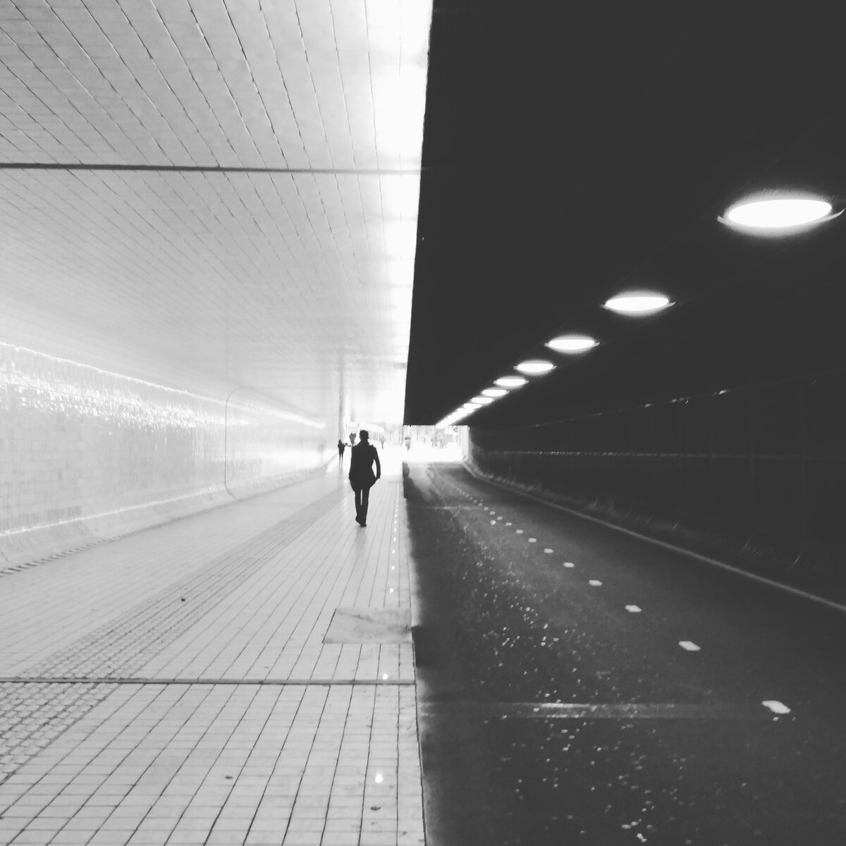 A Step in the Light