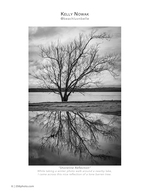 shoreline reflection landscape photography