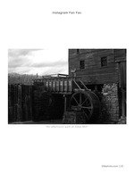 an afternoon walk at yates mill architecture photography