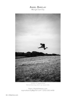 jump of happiness portrait photography