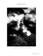 the lighthouse through the bushes landscape photography