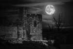 Alnwick Castle