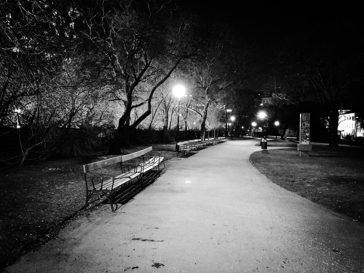 Empty Park Path at Night