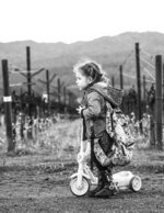 Vineyard Scooter Ride