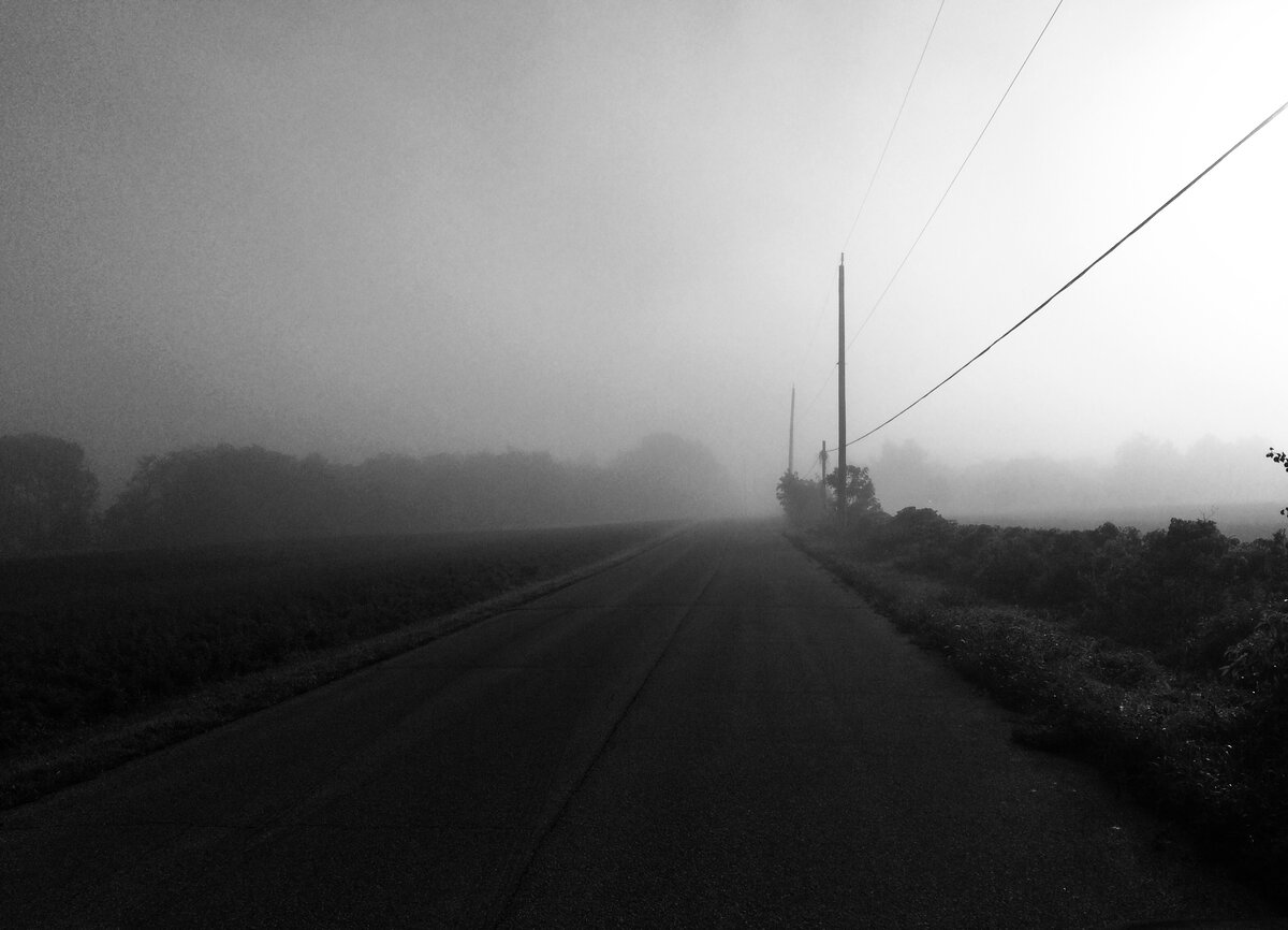 Morning Mist