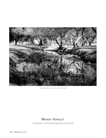 desert creek reflection landscape photography