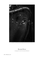 amal wildlife photography