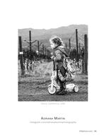 vineyard scooter ride portrait photography