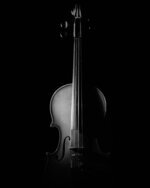 Violin in Shadow