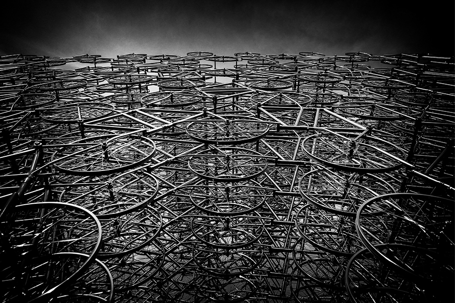 Forever Bicycles