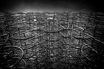 Forever Bicycles