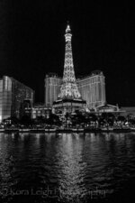 Vegas Nights