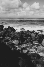 Rocky Shoreline