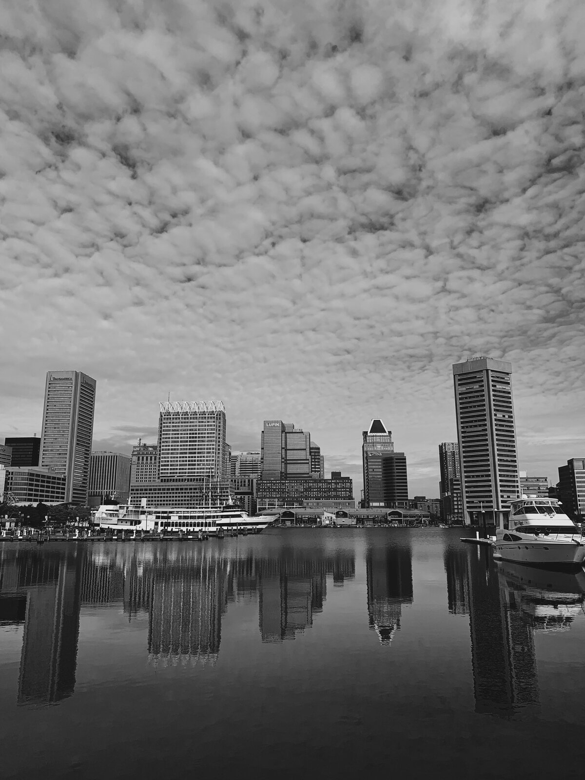 Harbor Reflections