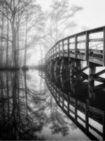 Foggy Morning Reflections