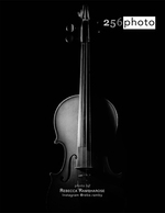 violin still life photography