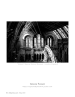 natural history museum hall architecture photography