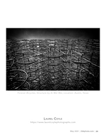 bicycle sculpture abstract photography