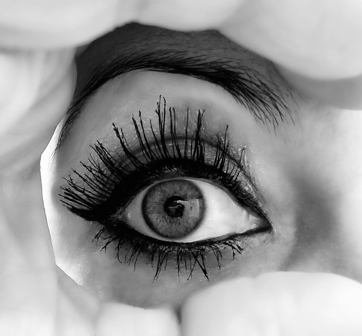 With an Eye to the Future
