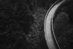 S-Curve Through the Forest