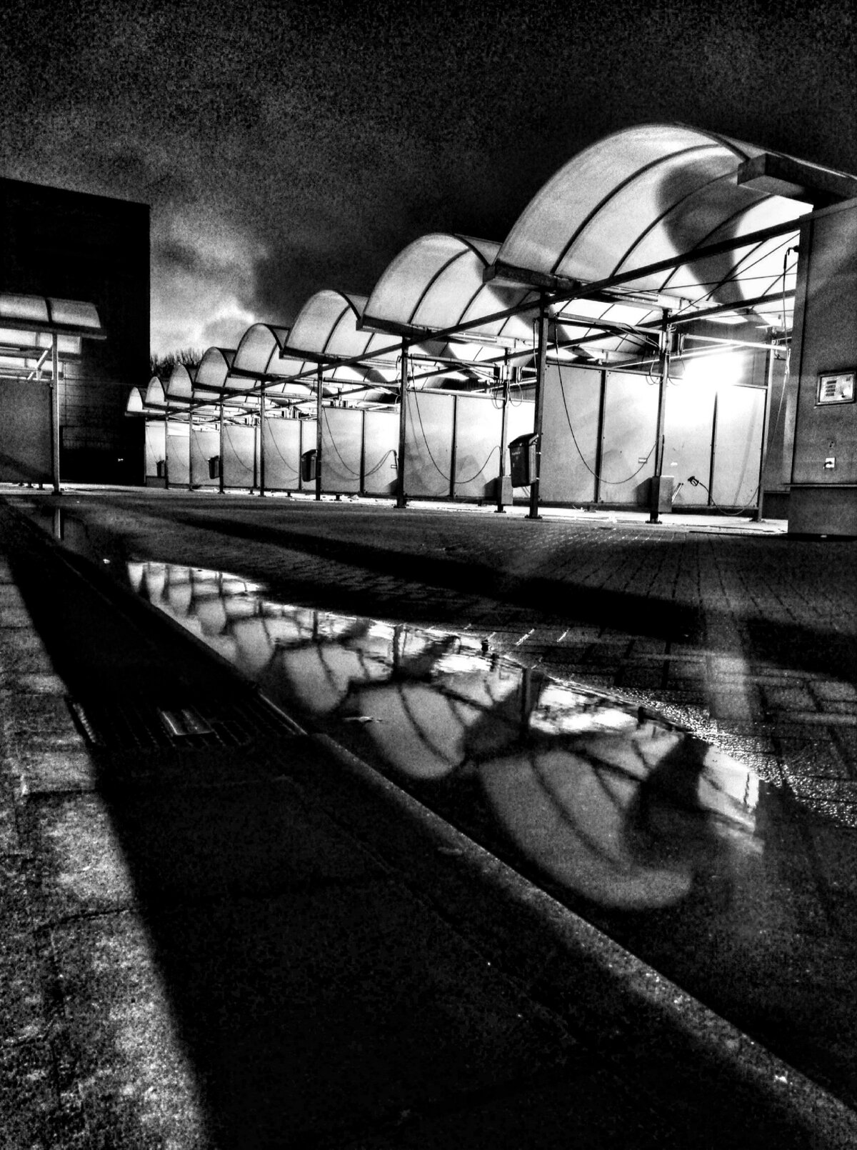 Reflections at the Bus Depot