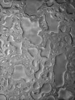 Condensation Abstract