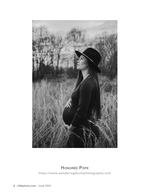 maternity portrait portrait photography