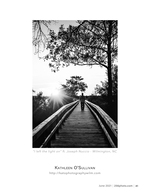i left the light on landscape photography