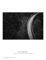 s-curve through the forest landscape photography