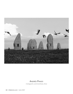 ancient stones and circling birds landscape photography