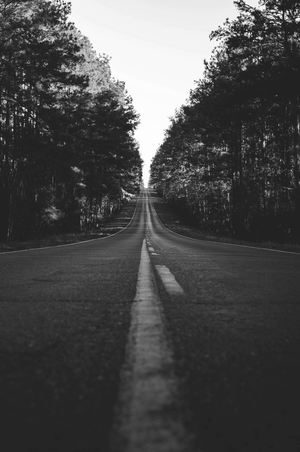 Louisiana Highway