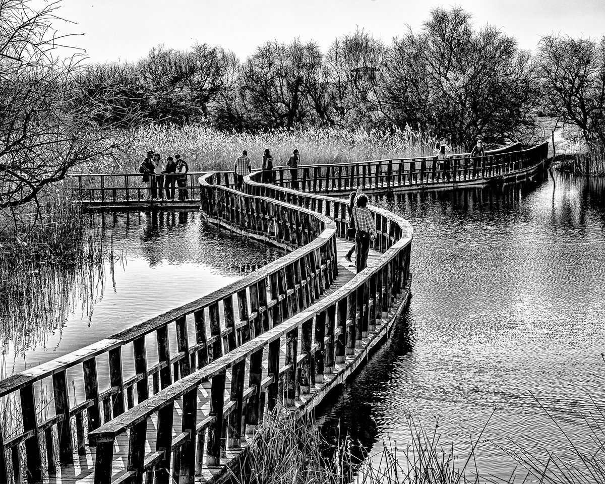Las Tablas de Daimiel National Park