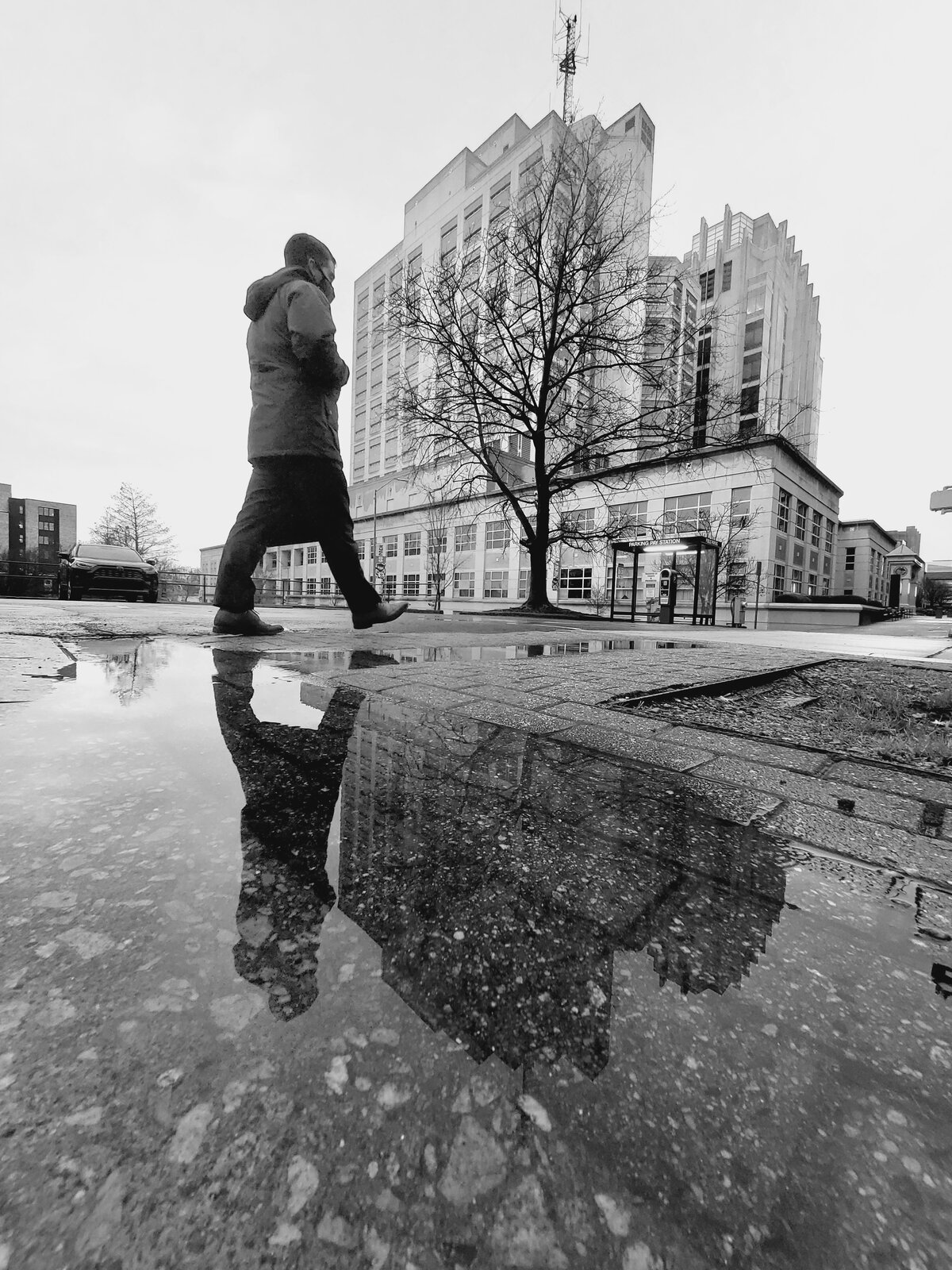 Rainy Reflections