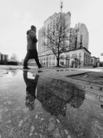 Rainy Reflections
