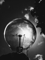 Bulb Against the Sky