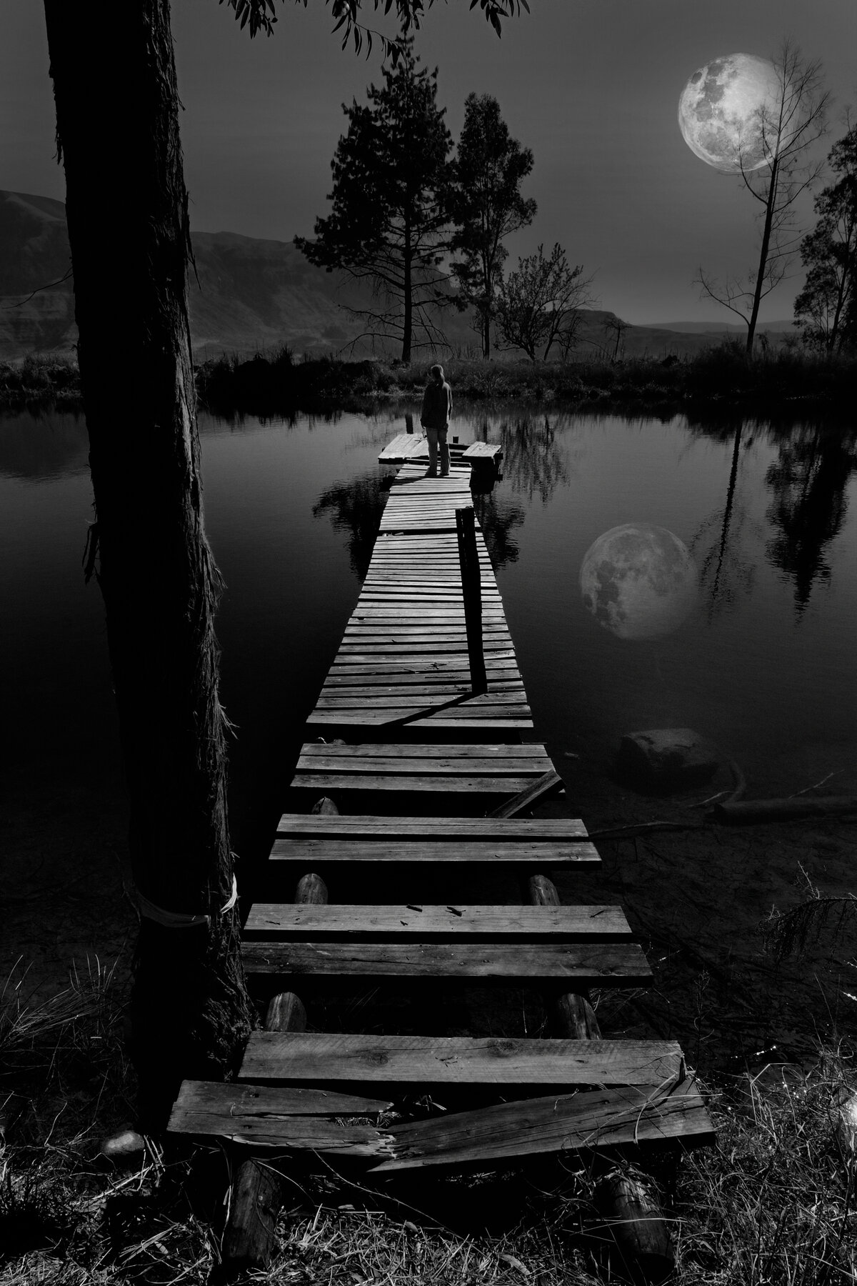 Moonlit Dock