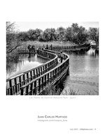 las tablas de daimiel national park landscape photography