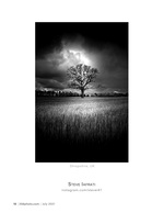 lone oak in the storm landscape photography
