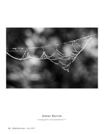 web of dew nature photography