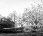 Bridge Over the Water