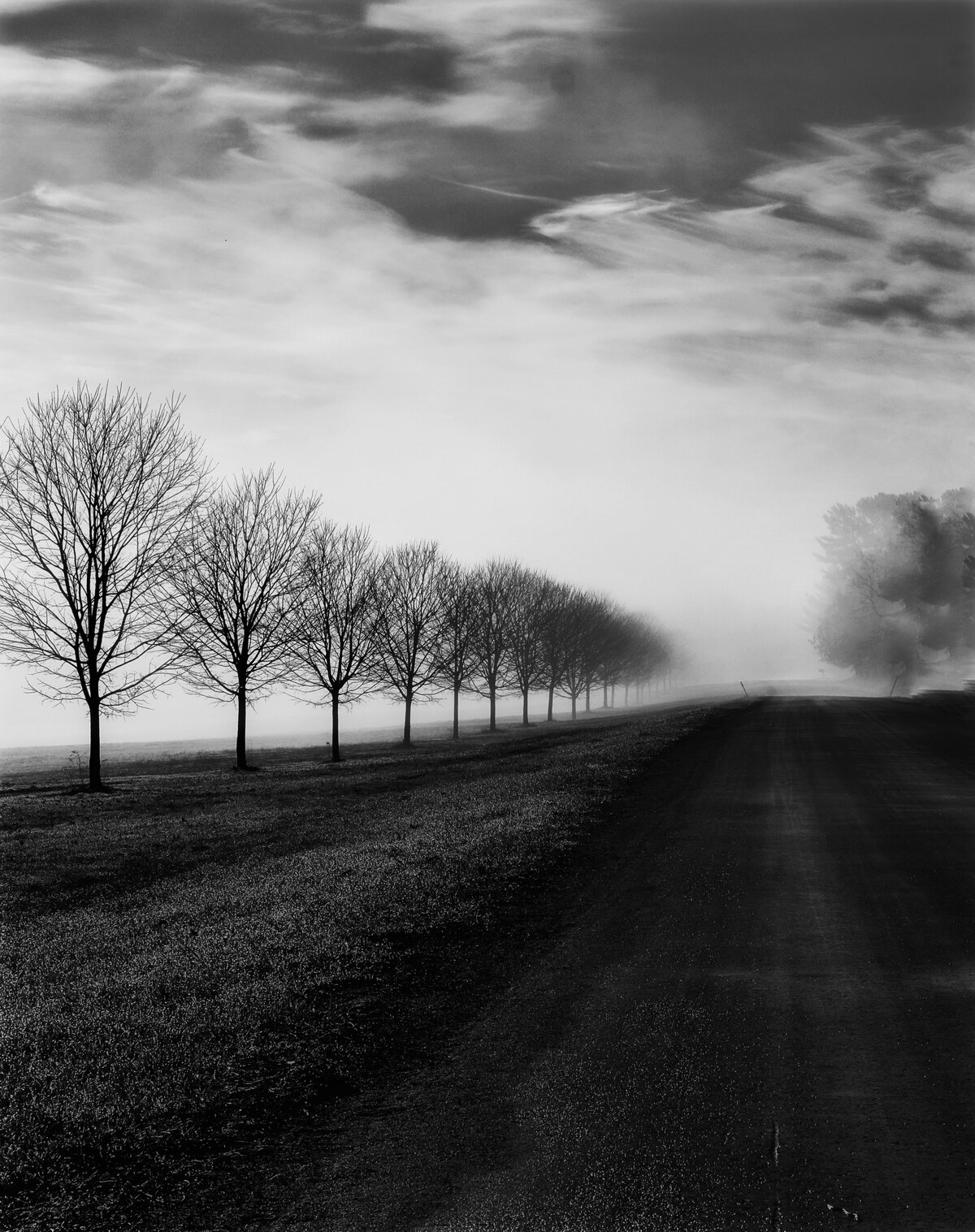 Foggy Country Road